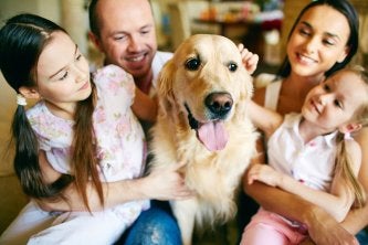 How Often Should Cleaners Visit Your Home?