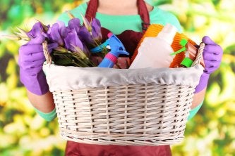 Spring with Cleaning Services from Maid Aide | Novi, MI